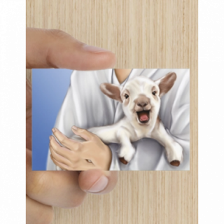 Bemoedigingskaart - Verloren schaap