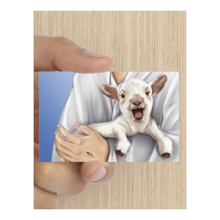 Bemoedigingskaart - Verloren schaap