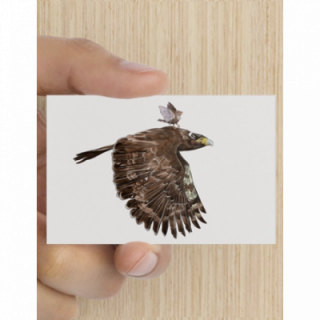 Bemoedigingskaart - Fly