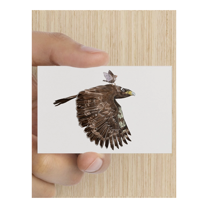 Bemoedigingskaart - Fly